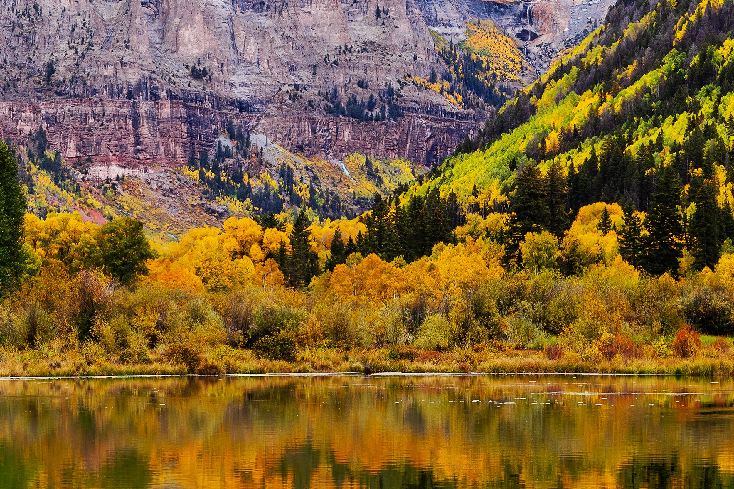 Autumn landscape with fall aspens reflecting in a calm beaver pond in telluride surrounded by mountains.