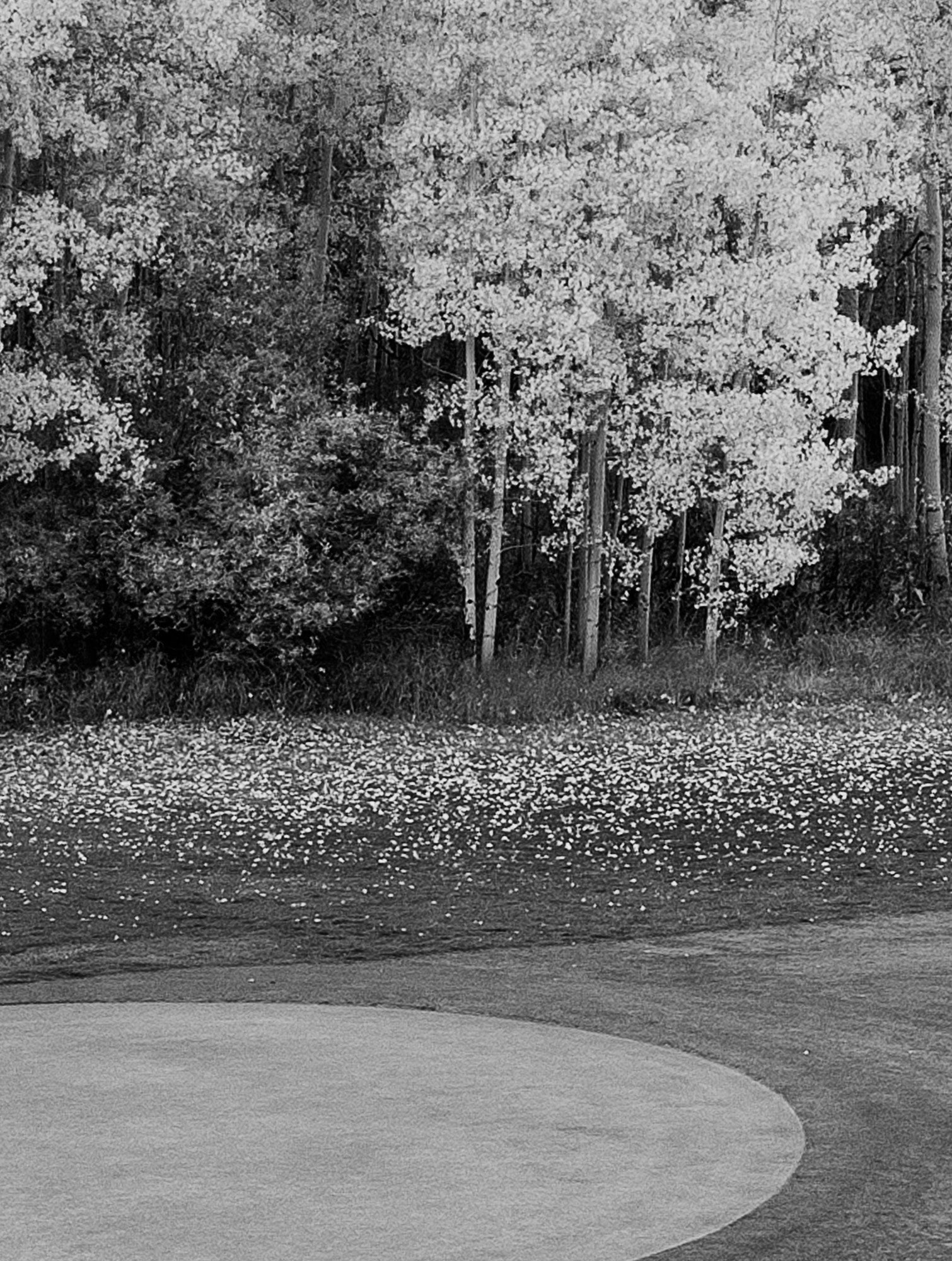 Telluride Golf Club at Sunrise B&W Metal