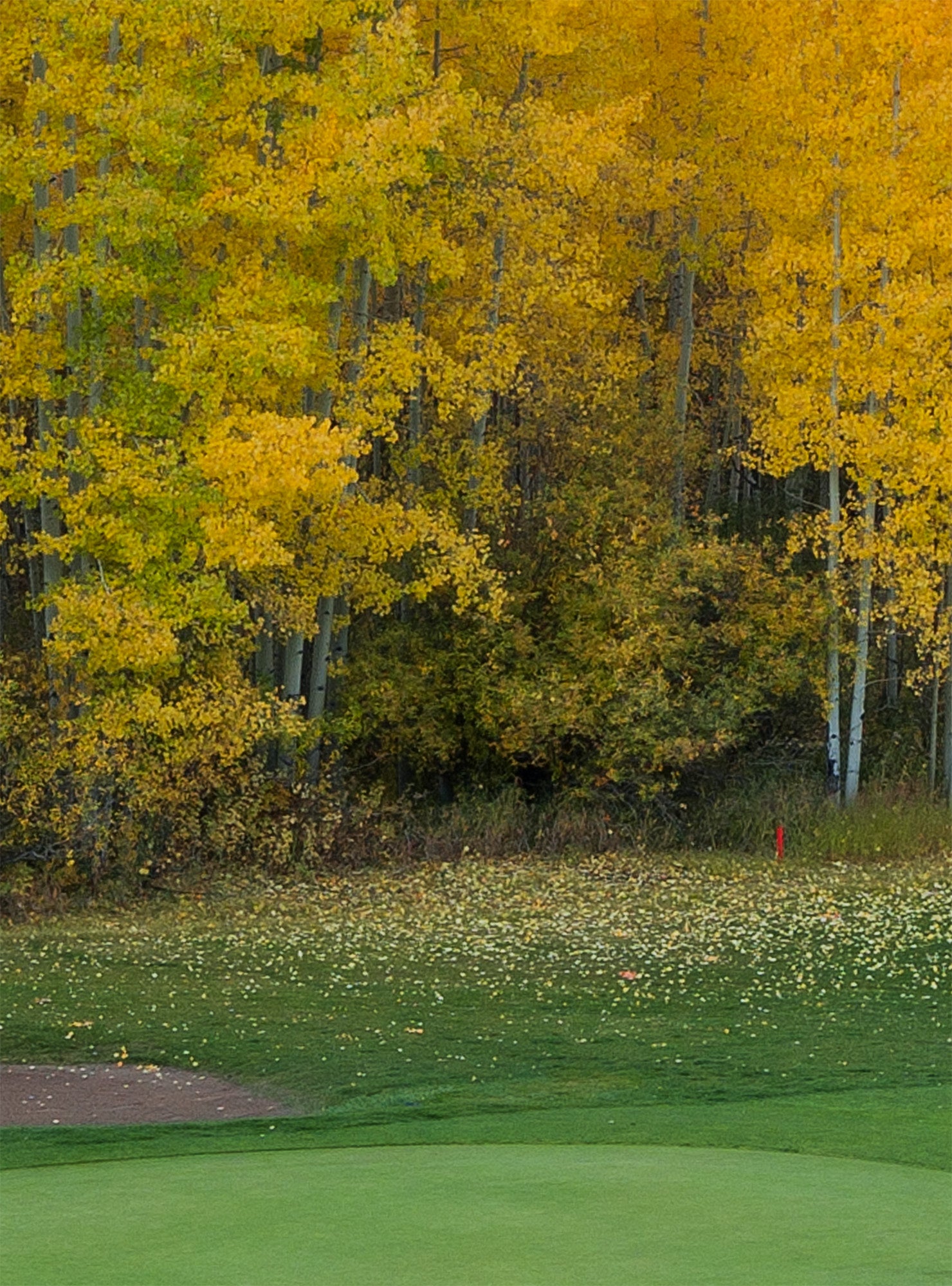 Telluride Golf Club at Sunrise Metal