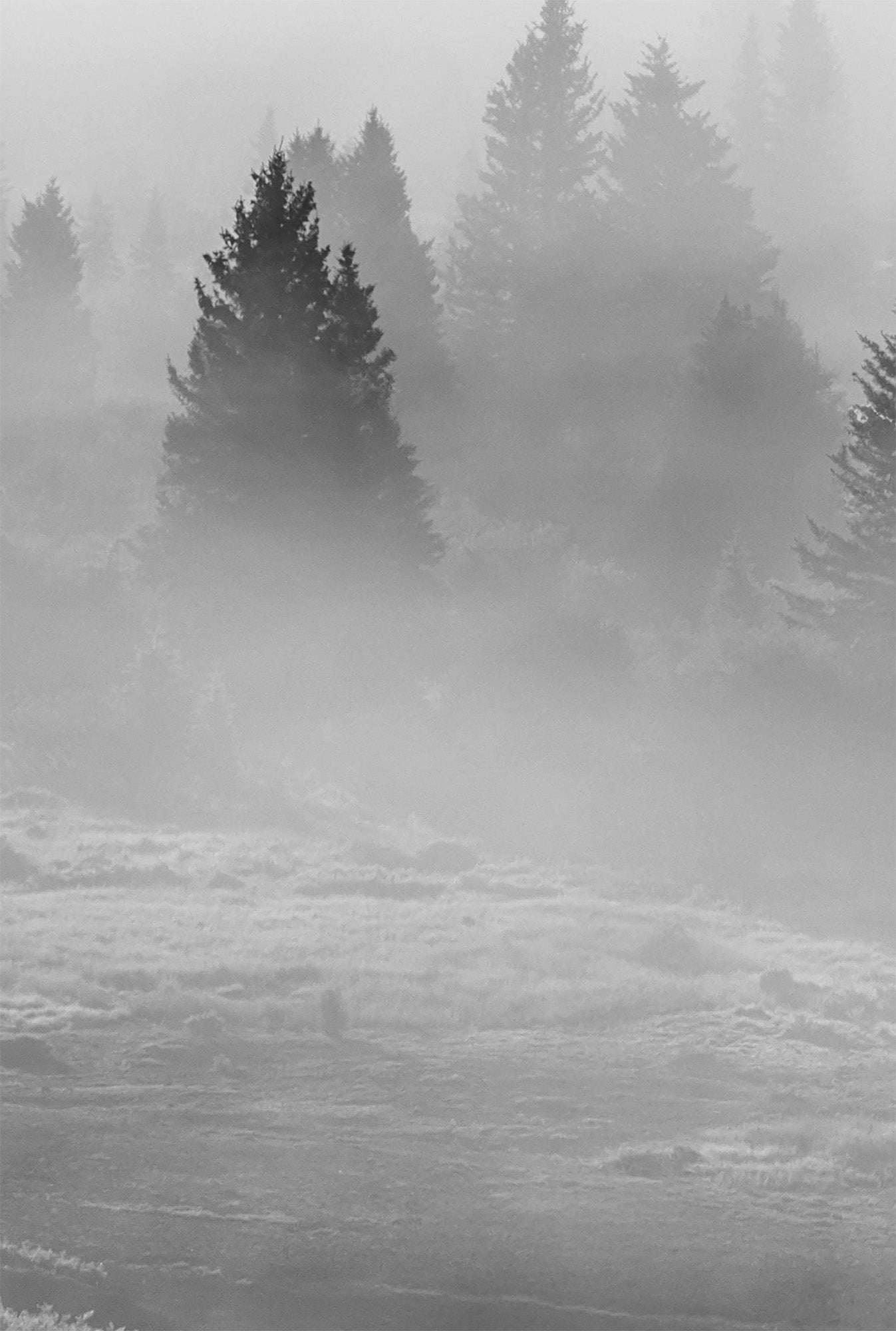 Telluride Valley Fog Acrylic